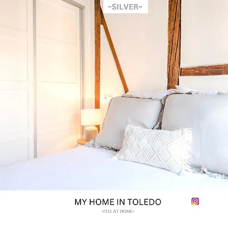 Daire -silver- By Myhomeintoledo