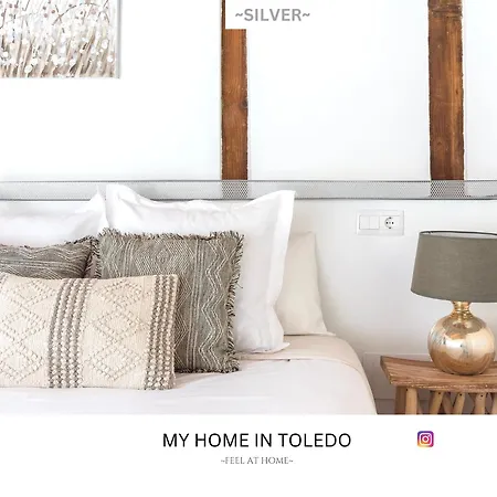 -silver- By Myhomeintoledo *